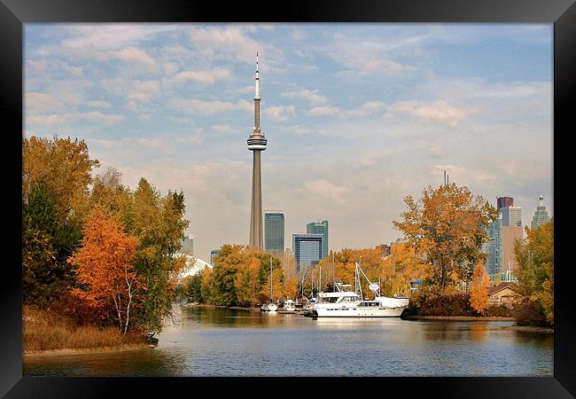 Toronto Skyline from Center Island Framed Print by David Gardener