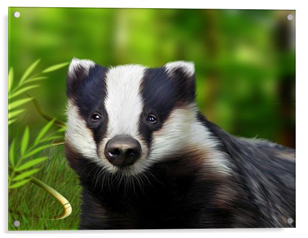 Woodland Badger Acrylic by Julie Hoddinott