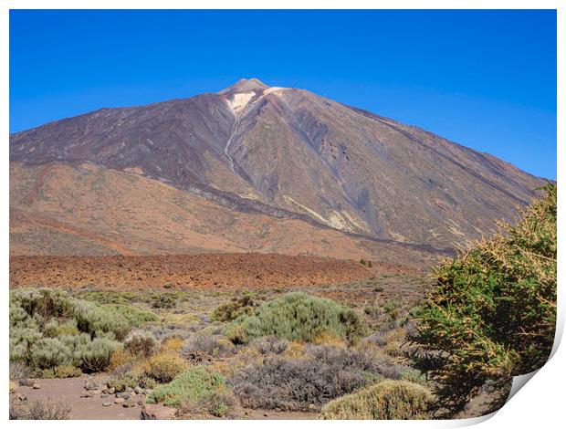 View of Mount Teide, Tenerife Print by Angela Cottingham