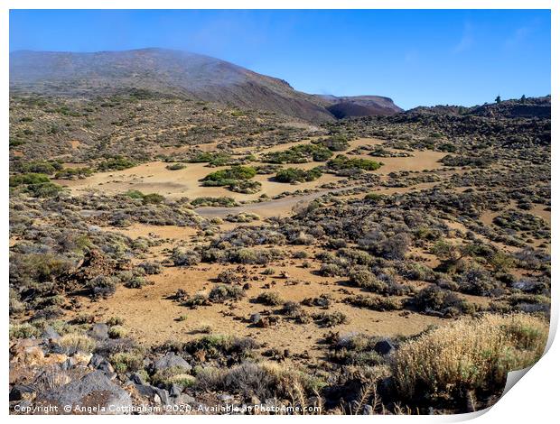 Landscape in the Teide National Park, Tenerife Print by Angela Cottingham