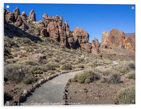 Trail at Roques de Garcia, Tenerife Acrylic by Angela Cottingham