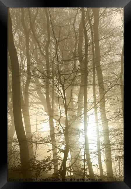 Woodland fog and sunrise Framed Print by Simon Johnson