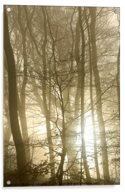 Woodland fog and sunrise Acrylic by Simon Johnson