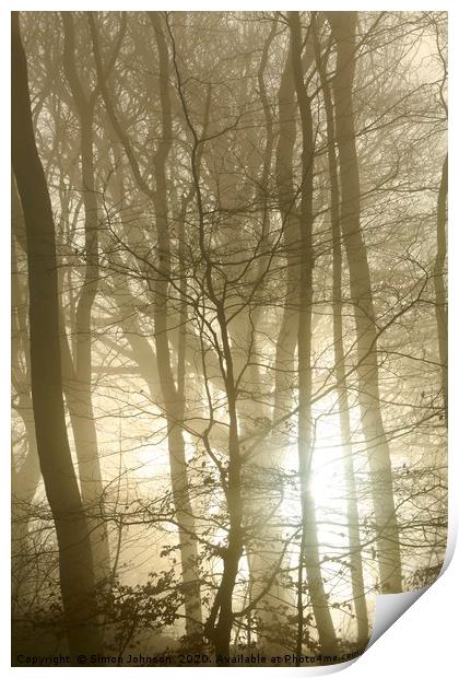 Woodland fog and sunrise Print by Simon Johnson