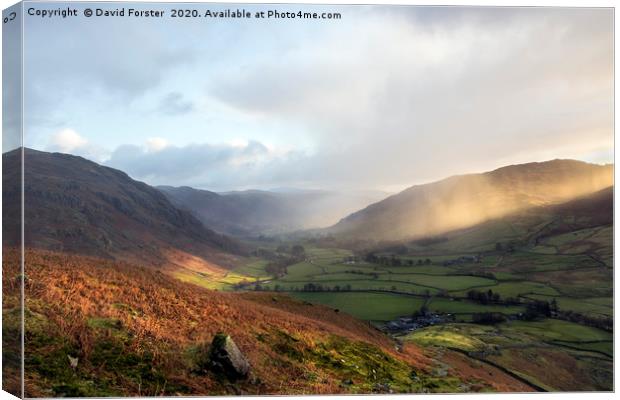  Great Langdale Light, Lake District Canvas Print by David Forster