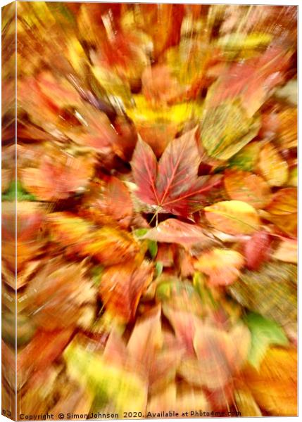 Autumn leaf Collage  Canvas Print by Simon Johnson