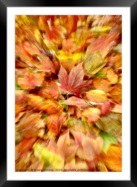 Autumn leaf Collage  Framed Mounted Print by Simon Johnson