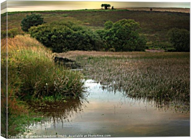 Mendip Wetlands Canvas Print by Heather Goodwin