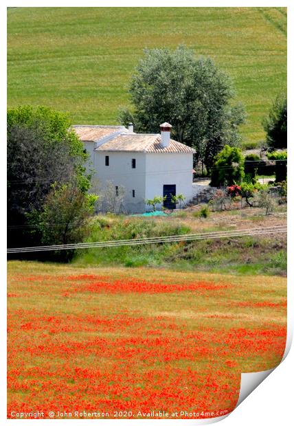 Poppies, Andalucia, Spain                          Print by John Robertson
