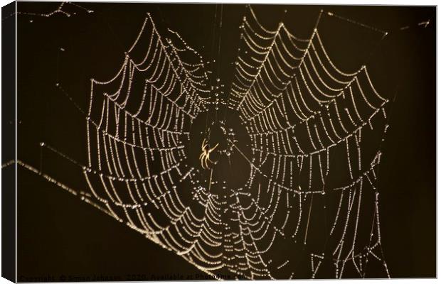Spider, cobweb with dew Canvas Print by Simon Johnson