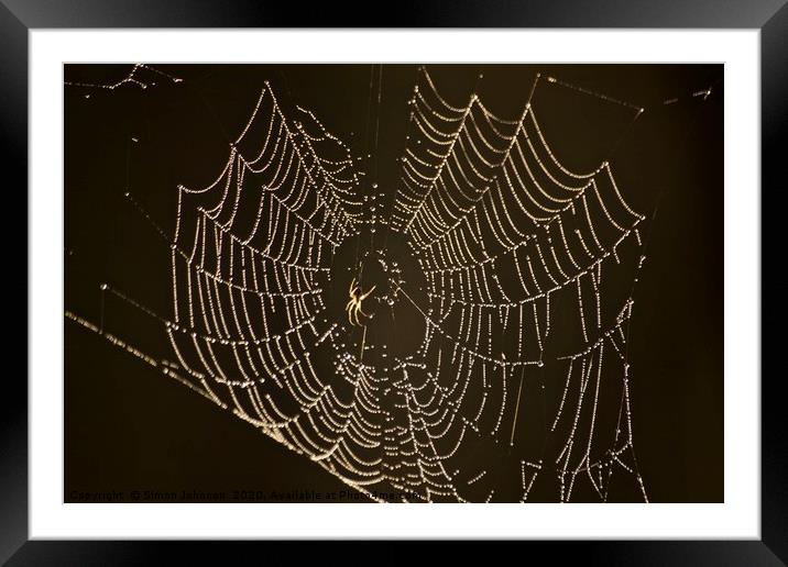 Spider, cobweb with dew Framed Mounted Print by Simon Johnson