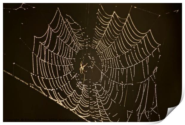 Spider, cobweb with dew Print by Simon Johnson