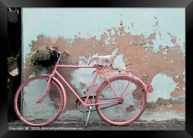Pink bike in Rome, Italy Framed Print by Lensw0rld 