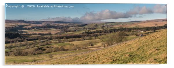 Ettersgill and Upper Teesdale Panorama Acrylic by Richard Laidler