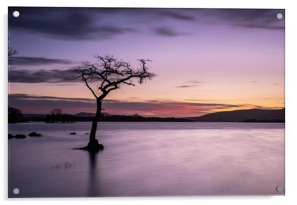 Sunset at Milarrochy Bay, Loch Lomond, Scotland Acrylic by George Robertson