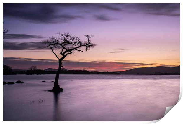 Sunset at Milarrochy Bay, Loch Lomond, Scotland Print by George Robertson