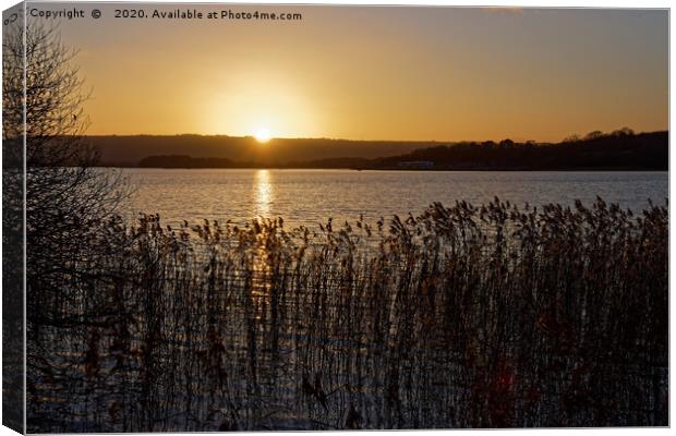 Chew Valley lake Winter sunset through the reeds Canvas Print by Duncan Savidge