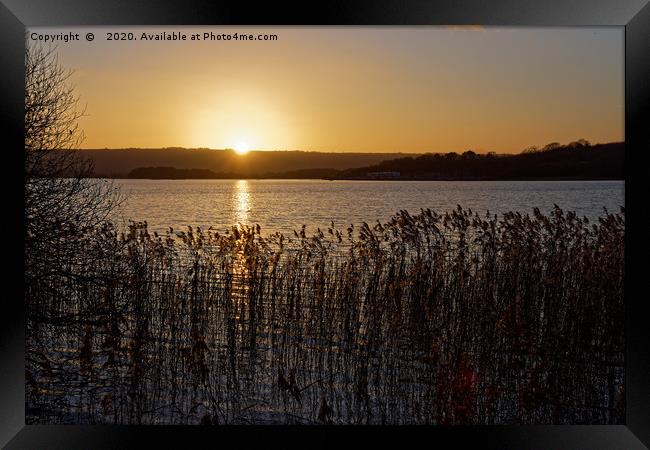 Chew Valley lake Winter sunset through the reeds Framed Print by Duncan Savidge