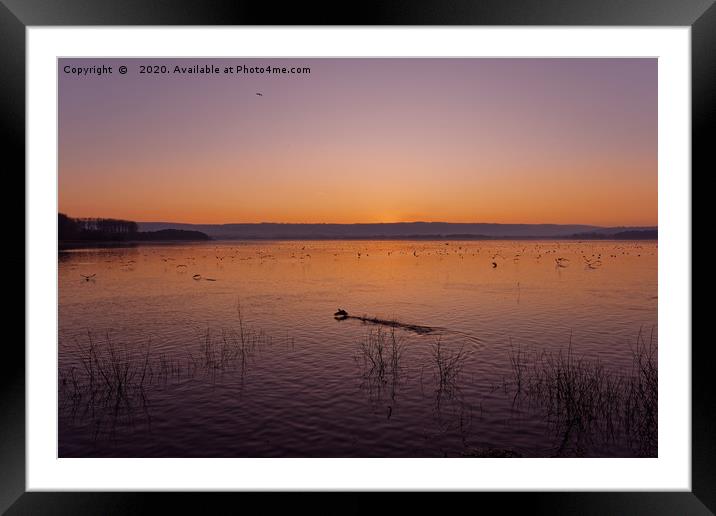 Chew Valley lake sunset  Framed Mounted Print by Duncan Savidge