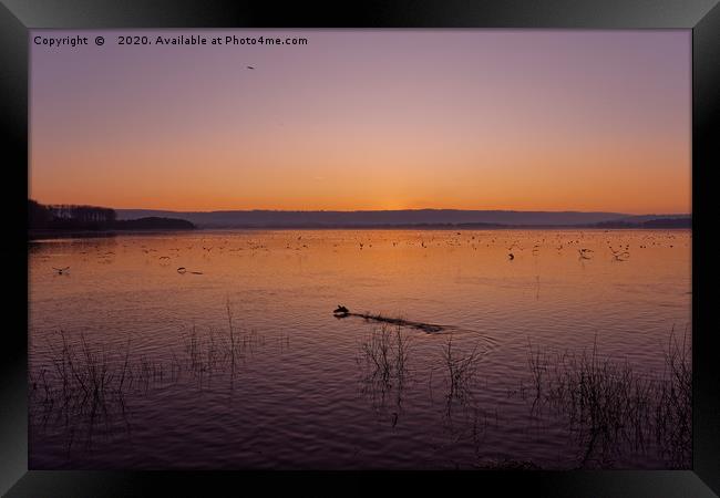 Chew Valley lake sunset  Framed Print by Duncan Savidge