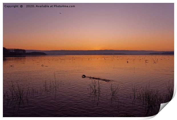 Chew Valley lake sunset  Print by Duncan Savidge