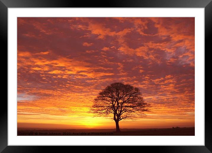 Isolated tree sunrise Framed Mounted Print by Simon Johnson