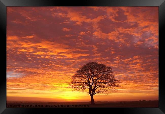 Isolated tree sunrise Framed Print by Simon Johnson