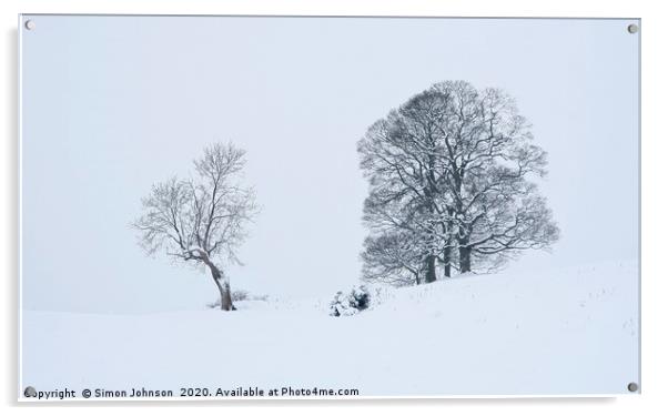 TYrees in snow Acrylic by Simon Johnson