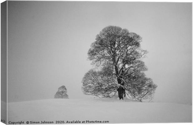 Two trees in snow Canvas Print by Simon Johnson