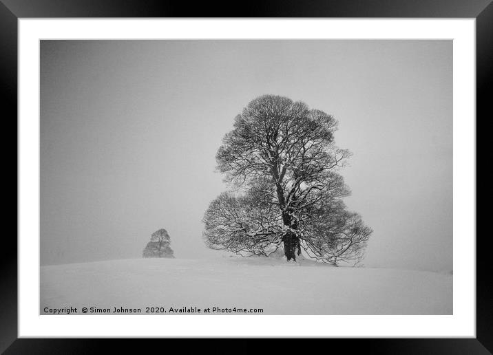 Two trees in snow Framed Mounted Print by Simon Johnson