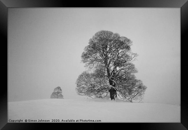 Two trees in snow Framed Print by Simon Johnson