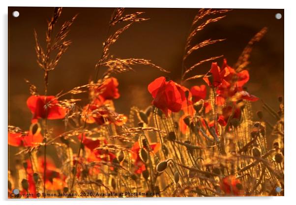 Poppies in corn Acrylic by Simon Johnson