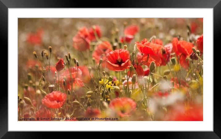 Wild poppies Framed Mounted Print by Simon Johnson