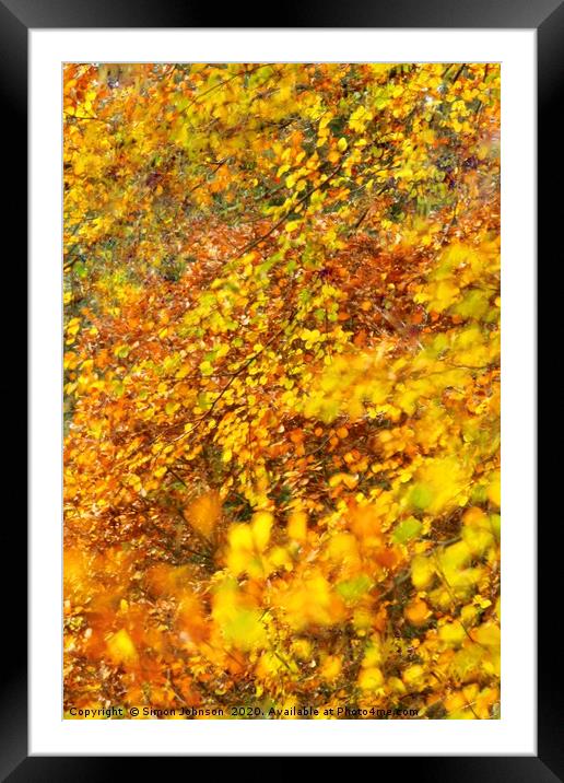 Impressionist image of autumn leaves Framed Mounted Print by Simon Johnson