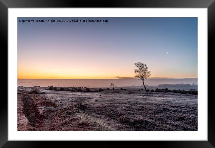Ipley Sunrise, New Forest Framed Mounted Print by Sue Knight