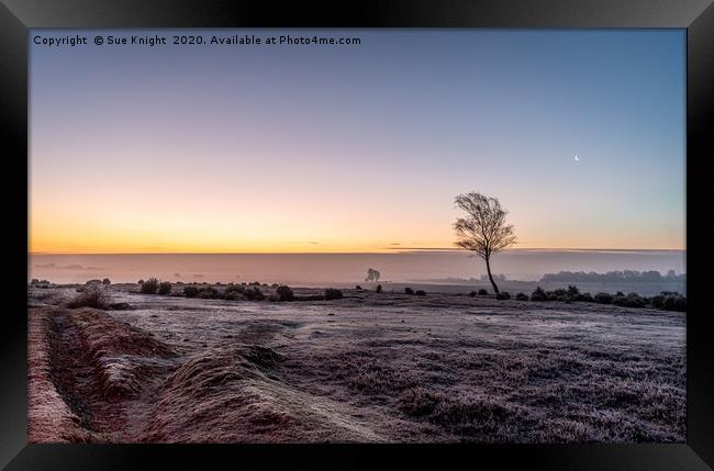 Ipley Sunrise, New Forest Framed Print by Sue Knight