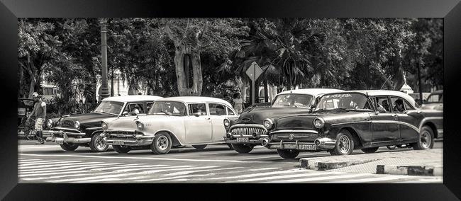 Classical cars line the Prado Framed Print by Jason Wells