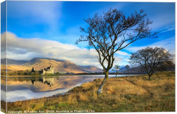Trees at Loch Awe Canvas Print by Andrew Ray