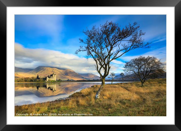 Trees at Loch Awe Framed Mounted Print by Andrew Ray