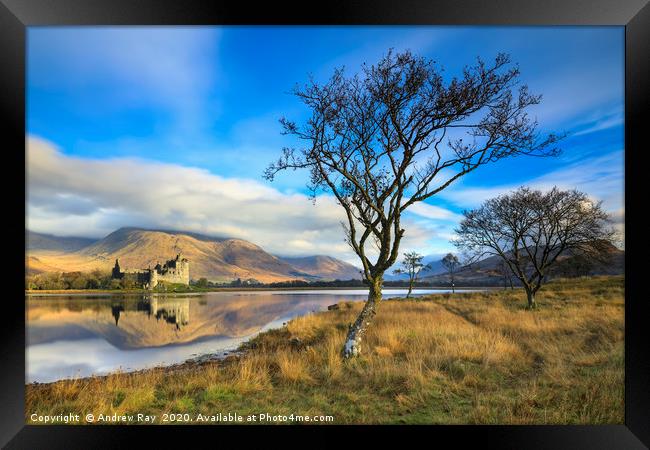 Trees at Loch Awe Framed Print by Andrew Ray
