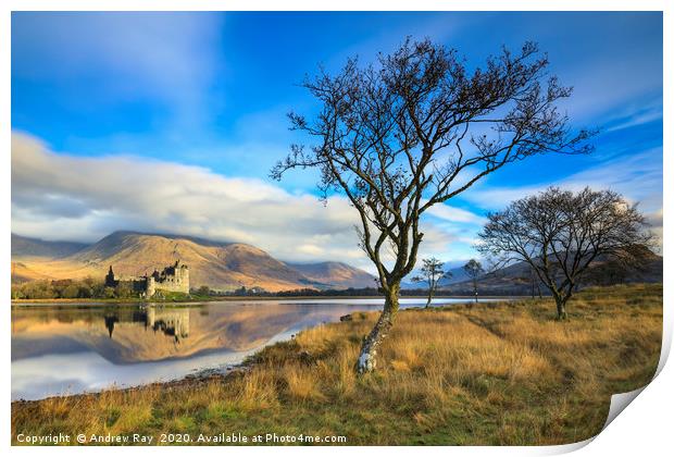 Trees at Loch Awe Print by Andrew Ray