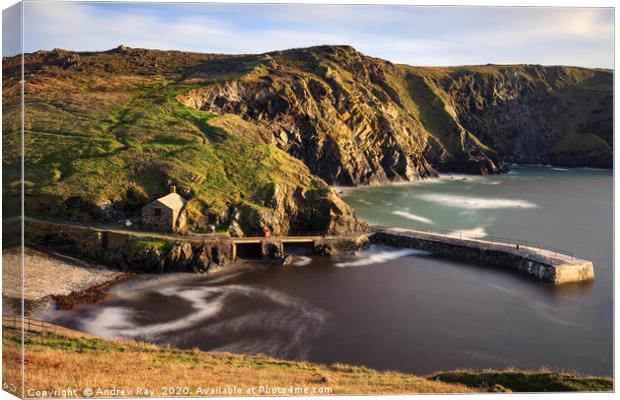 Harbour view (Mullion Cove) Canvas Print by Andrew Ray
