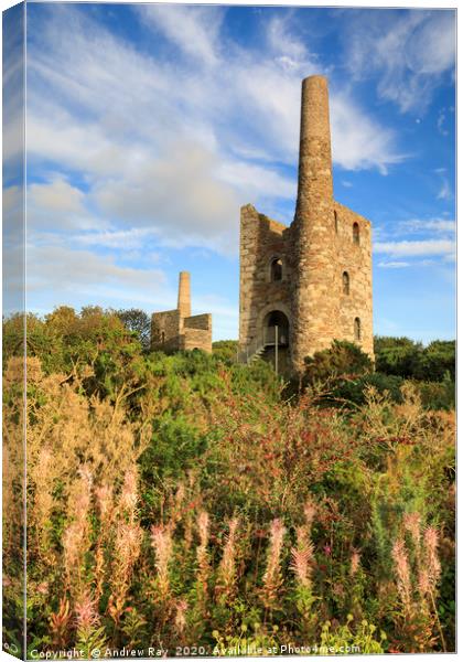 Engines house at Wheal Peevor Canvas Print by Andrew Ray