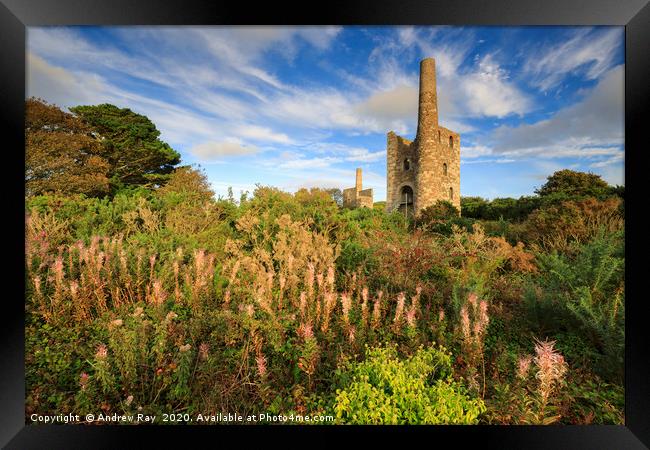 Late summer at Wheal Peevor Framed Print by Andrew Ray