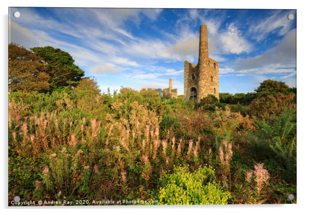 Late summer at Wheal Peevor Acrylic by Andrew Ray