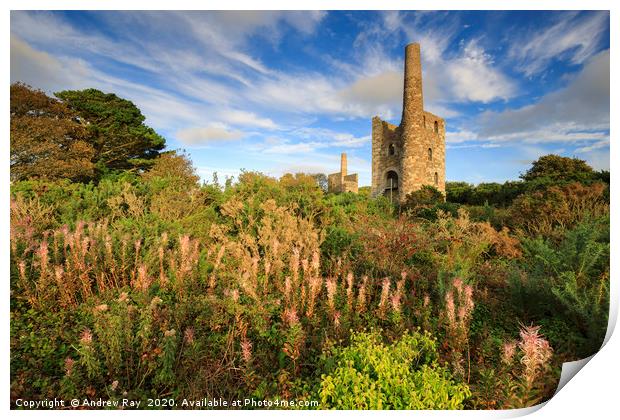 Late summer at Wheal Peevor Print by Andrew Ray