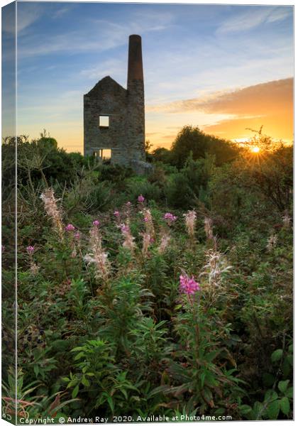 The setting sun at Wheal Peevor Canvas Print by Andrew Ray