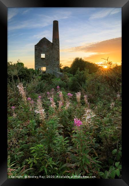 The setting sun at Wheal Peevor Framed Print by Andrew Ray