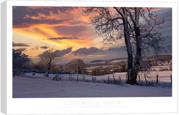 Cotswold Snow Canvas Print by Andrew Roland