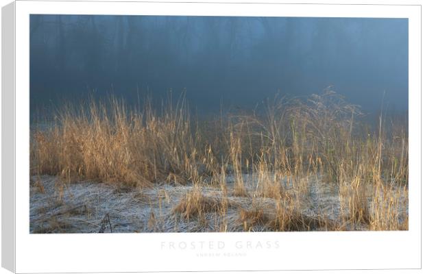Frosted Grass Canvas Print by Andrew Roland